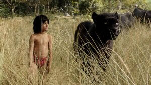 “Vahşi Çocuklar” ve Toplumdaki Davranışları