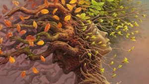 Kognitif Rezerv: Beynin Evriminde Belirleyici Bir Adım