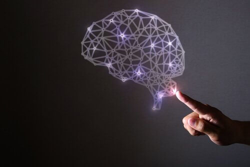 pembe neon ışıklardan yapılmış beyin ve ona dokunan parmak
