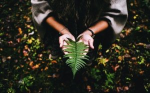 Hayatta Anlam Bulmak Huzur ve Sabır İster