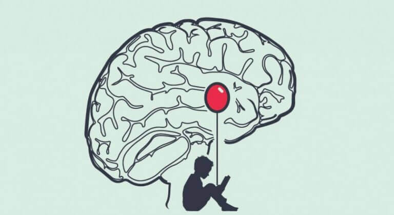 Beyinde bulunan amigdala