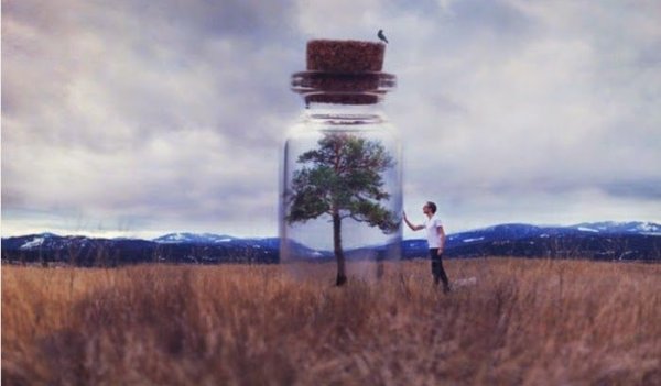 Kavanoza dokunan adam