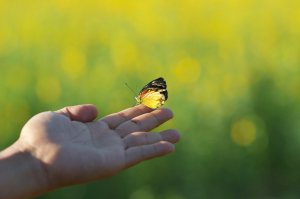 Döngüleri Doğru Bir Biçimde Kapatmayı Öğrenin