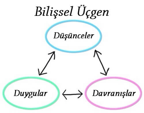 bilişsel üçgen