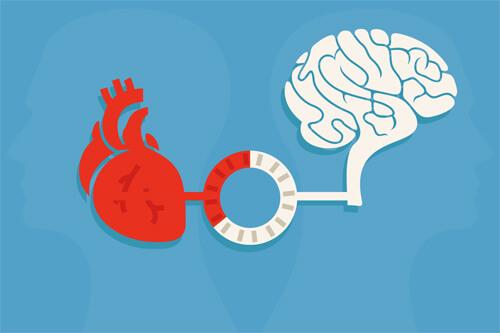 kalp ve beyin