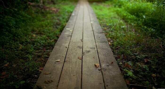 ormandan geçen tahta yol