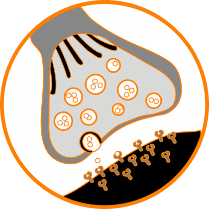 renkli bir sinapsis görseli