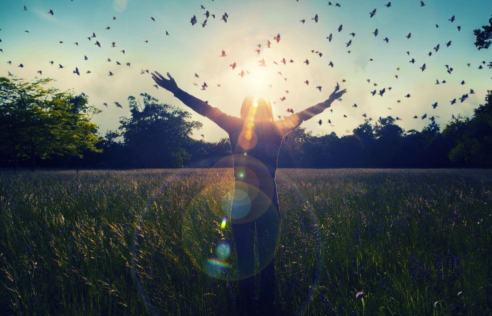 seitai ile mutlu olmak