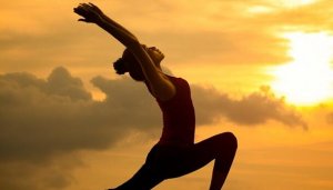 Seitai: Ahenk ve Sağlık Kültürü