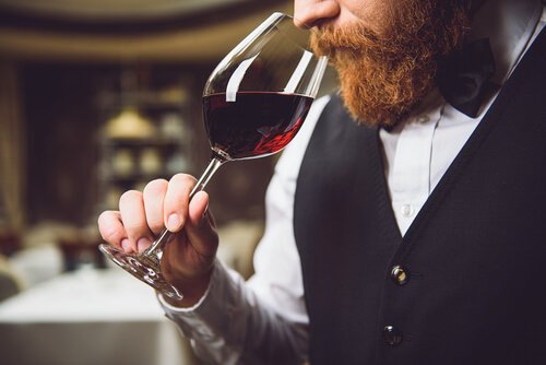 şarap ve hiferozmi