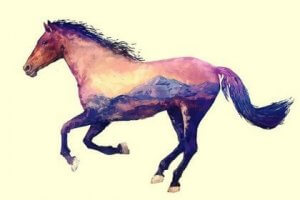 Bir Çin Masalı: Kayıp At