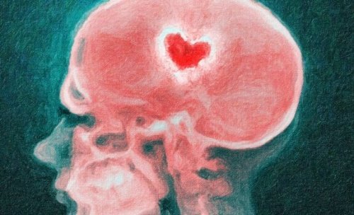 Ayrılık Esnasında Beyin: Kırık Kalp Bilimi
