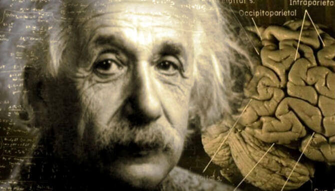 Einstein'ın Beyninin İnanılmaz Hikayesi