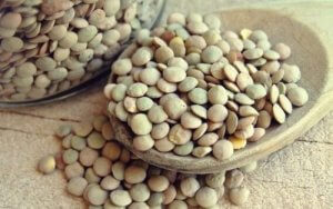 Folik Asit ile Sağlıklı Bir Beyin