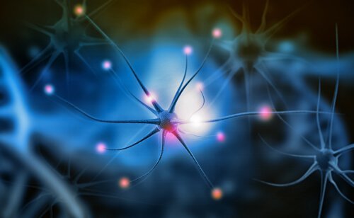 Nörojenez Nedir ve Hücre Oluşumu Neden Önemlidir?