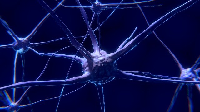 Nöronlar: Nedir ve Nasıl Çalışırlar?