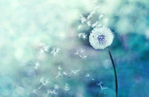 Tesadüfler Birbirini Kovalıyorsa Doğru Yoldasınız Demektir