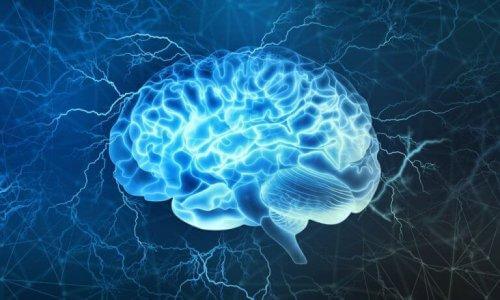 Prefrontal Korteks: Beynin En İlginç Bölümlerinden Biri