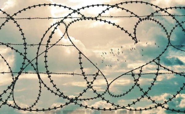 kalp çeklinde dikenli tel