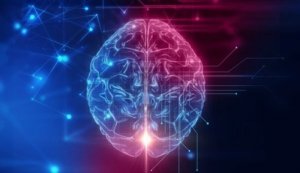 Orbitofrontal Korteks: Sosyal Davranışlarımızın Temeli