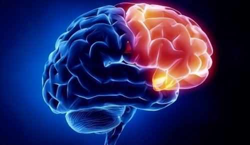 mavi ve sarı beyin