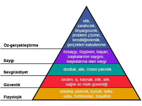 maslow'un gereksinimler hiyerarşisi