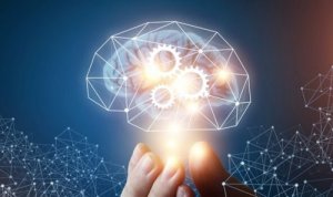 Makyavelist Zeka Teorisi