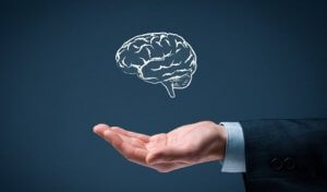 Yalın Zeka Kavramının 6 Kuralı