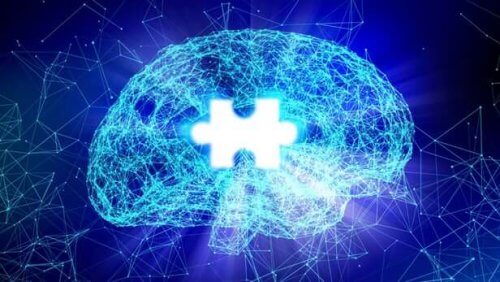 beyin ve psikofizyoloji