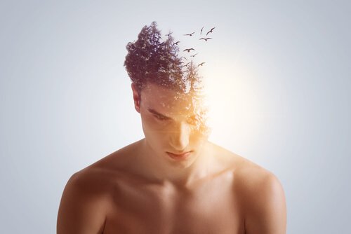 kafasında ağaç silüeti olan adam