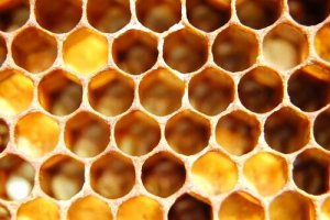 Tripofobi: Semptomları, Nedenleri ve Tedavisi