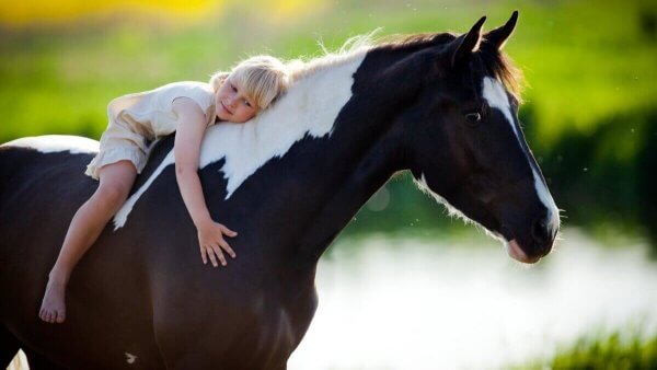 at üstünde kız