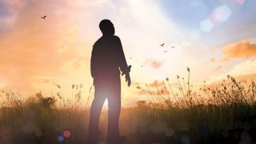 bitkiler arasında ayakta duran adam