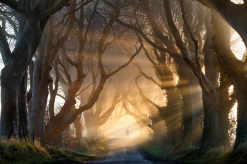 korkuyla başa çıkmak