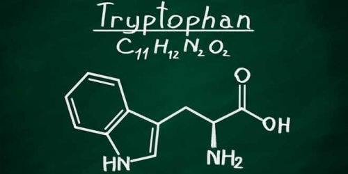 triptofan molekülü