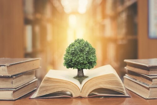 ağaç ve kitap