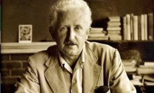 Erik Erikson, Farklı Bir Psikanalist
