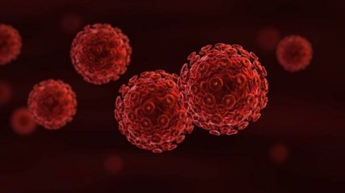 kırmızı renkte mikrop