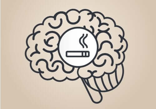 Nikotin Beyni Nasıl Etkiler?