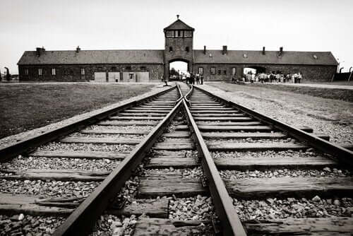 Auschwitz toplama kampı