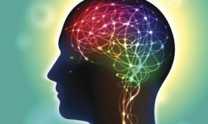 Anandamid: Mutluluğu Etkileyen Bir Nörotransmitter