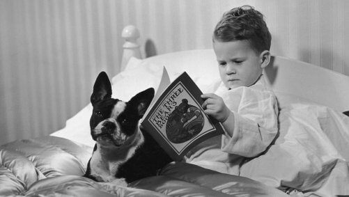 yatağında köpeğiyle birlikte kitap okuyan çocuk