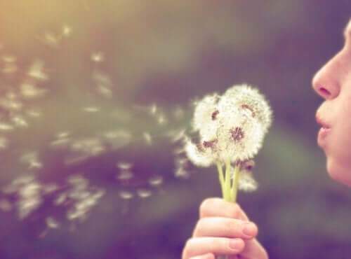 Bir karahindiba çiçeğini üfleyen birinin fotoğrafı.