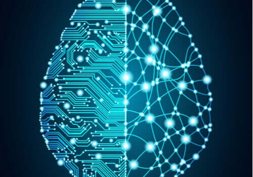 Beynin yapısı ile ilgili bir görsel