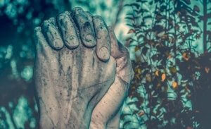 Şefkatli Empati: Duygulardan Eylemlere