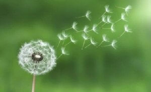 En Az Çaba Yasası ile Stresle Başa Çıkın