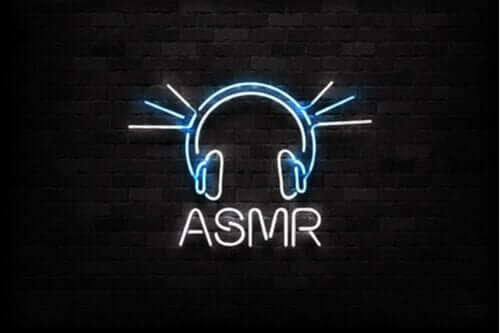 LED ışıklarla duvara yazılmış ASMR sözcüğü.