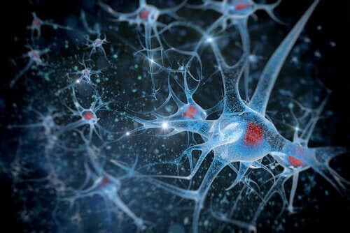 nöron görseli