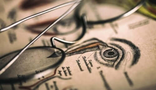 optografi hakkında bir çizim