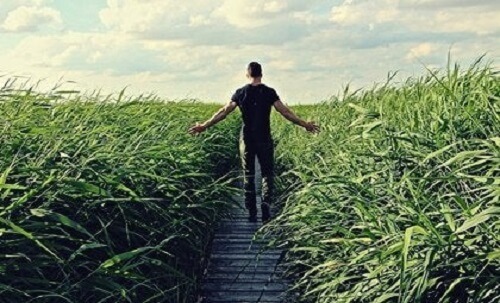 Yeşil bir tarlanın ortasında duran bir adam.